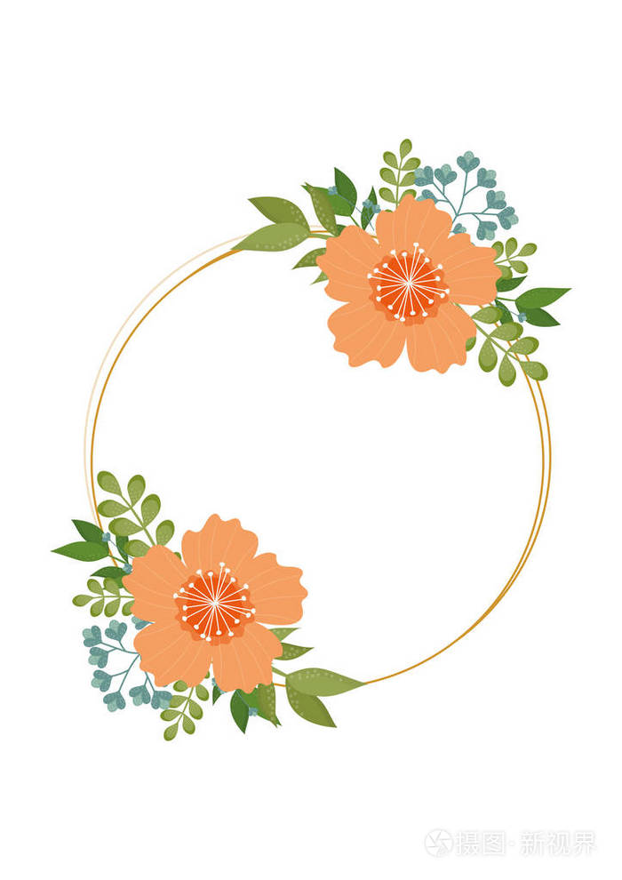 插画 几何植物框架与花卉,时尚的矢量插图.华丽的概念.