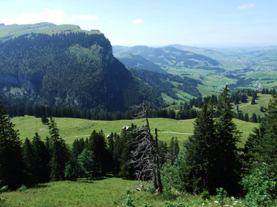 瑞士内罗登阿彭策尔州施温德村和布鲁利索州全景