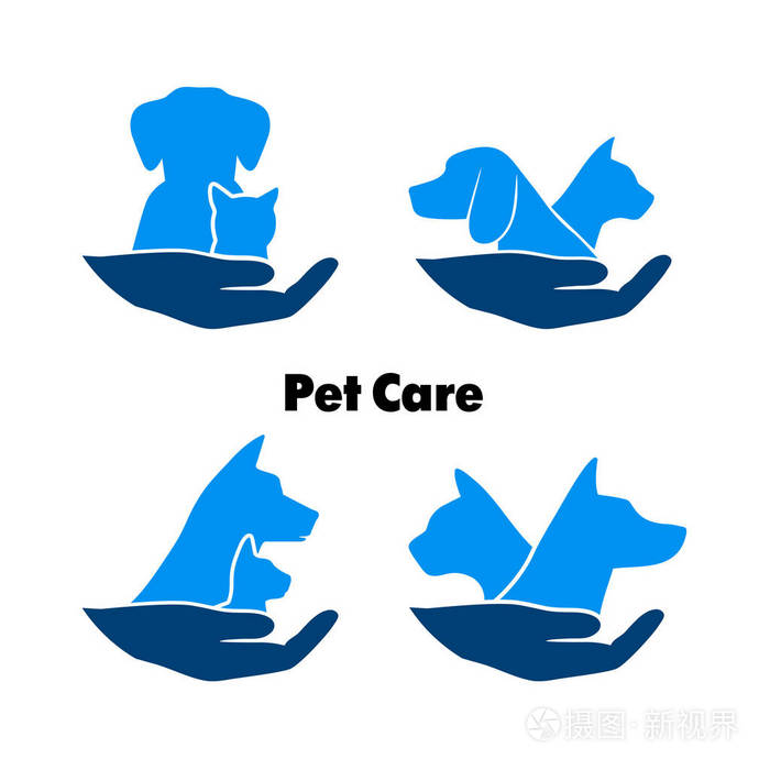 动物标志护理标志保护流浪动物.