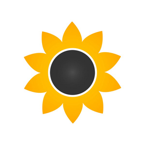 平面样式的向日葵图标,白底矢量插图照片