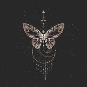 矢量符号抽象蝴蝶图片-矢量符号抽象蝴蝶素材-矢量符号抽象蝴蝶插画