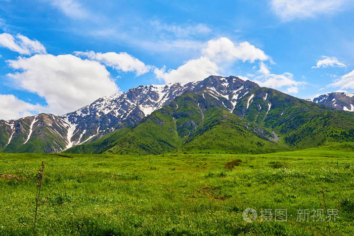 雪山山坡上绿色的夏季牧场阿克苏扎巴格里自然保护区哈萨克斯坦亚洲