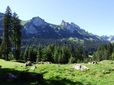 阿彭策尔内罗登州阿尔普斯坦山脉田园诗般的全景瑞士