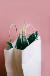 白色纸礼品袋中的空间花，粉红色背景上的春天花，带有复制空间