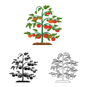 温室和植物图标的矢量设计。一套温室和花园股票符号的网站