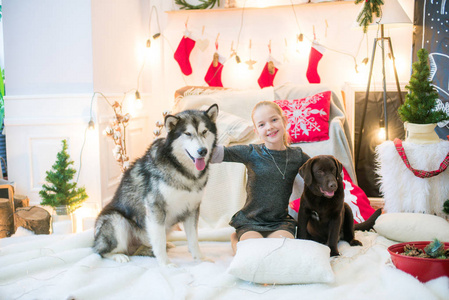 可爱的金发女孩在家里和一只狗马拉穆特和拉布拉多在家里的装饰房间里玩圣诞节