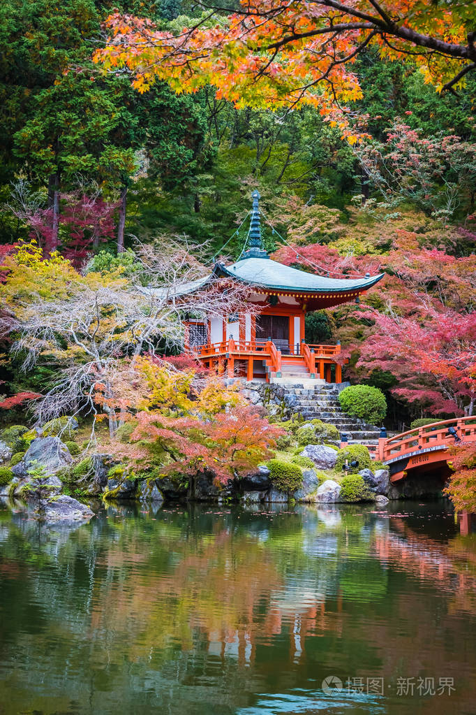 日本京都秋季绿树成荫美丽的寺
