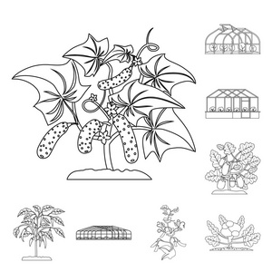 温室和植物标志的向量例证。网站的温室和花园股票符号收集