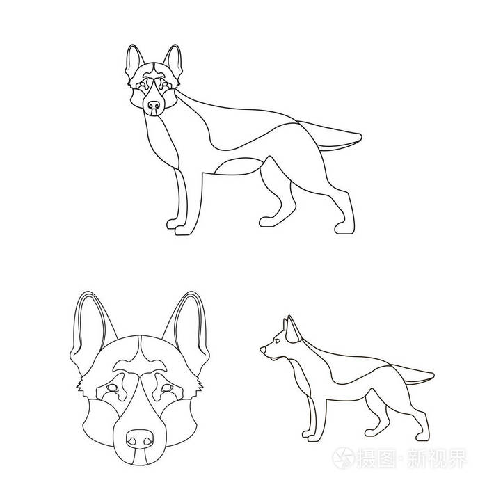 向量例证和牧羊犬图标.网络的一套和德国股票代码