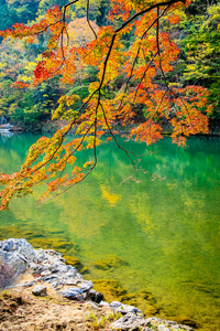 秋季日本京都，美丽的山河，有枫叶树和船绕湖而行