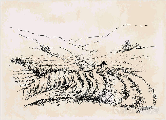 茶园手绘复古景观