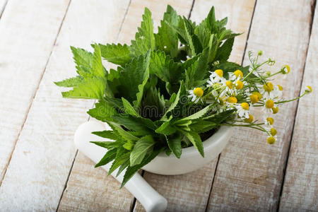 新鲜绿色蜜饯,薄荷,洋甘菊照片