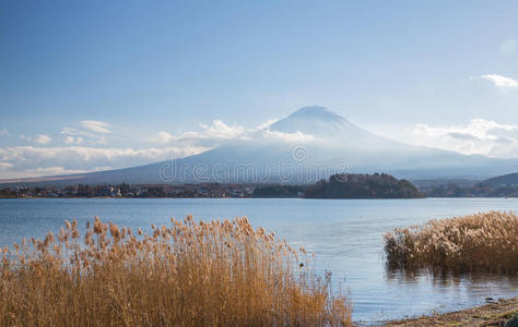 藤山川崎湖