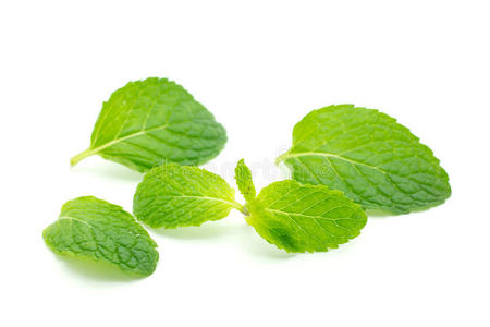 新鲜薄荷糖特写白照片-正版商用图片1au5cv-摄图新视界