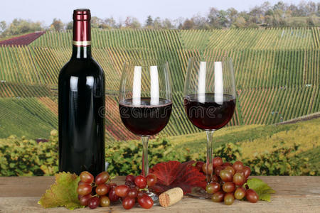 秋天葡萄园里的瓶装红酒