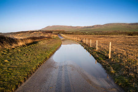 农场被淹乡村小路景观图图片
