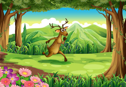 鹿在奔跑的丛林
