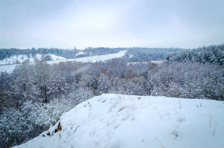 美丽的冬景树木覆盖着雪