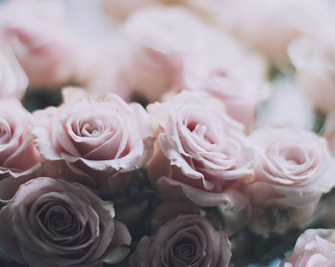玫瑰花束婚礼假日和花圃设计的概念优雅的视觉
