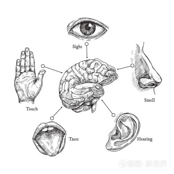 五官争功作文三年级上册_五官争功作文400字_五官争功作文