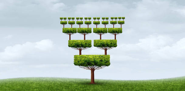 裙带关系和利益冲突的概念抽象的商业符号作为一棵树,从同一根带3d