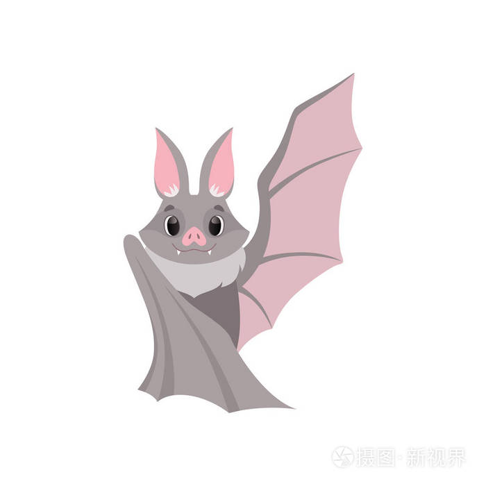 可爱的灰色蝙蝠有趣的生物卡通人物向量插图在白色背景