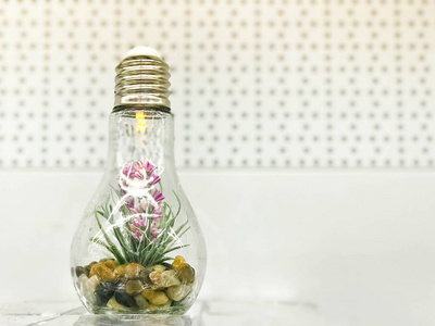 一个绿色的小有机植物花生长在一个玻璃灯泡里。理念 生态, 保护地球