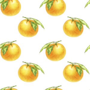 水彩画橙色橘子画照片