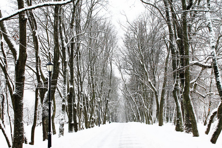 冬天。 圣诞节和新年。 平静的雪城小巷。 冬季景观