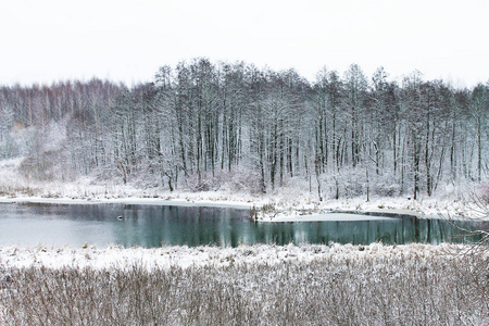 冬天。 圣诞节和新年。 十二月光滑的森林湖表面反射雪覆盖的树木。 冬季景观