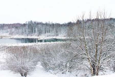 冬天。 圣诞节和新年。 森林湖被森林包围。 冬季景观