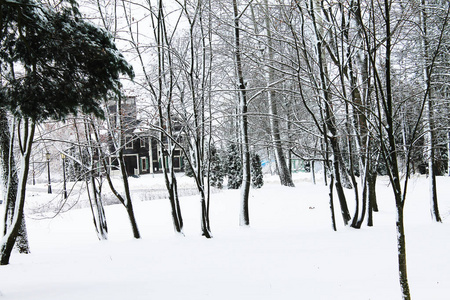 冬天。 圣诞节和新年。 隐藏在雪林中的森林小屋。 冬季景观