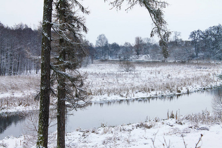 冬天。 圣诞节和新年。 森林河正在等待严重的霜冻。 冬季景观