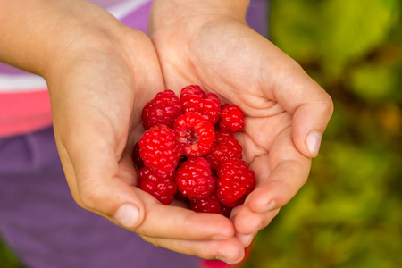 s hand holding raspberries