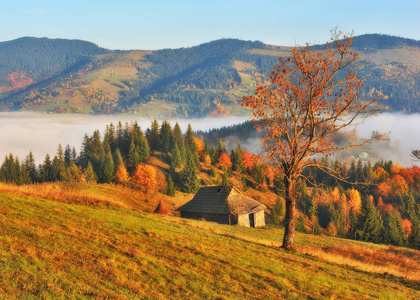 秋天的日出。 喀尔巴阡山雾蒙蒙的早晨
