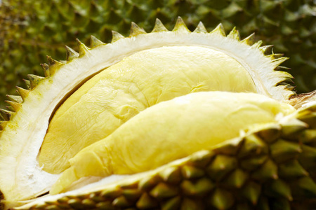 成熟的榴莲图片