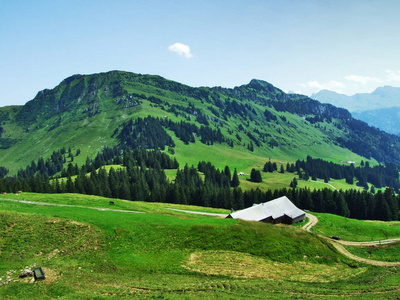 瑞士圣加仑奥贝托根堡山上的Neuenalpspitz峰