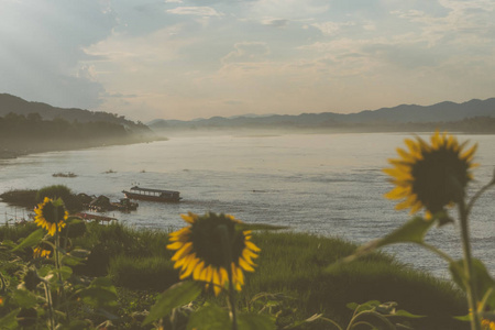 美丽的河流，雾从寒冷的天气蓝天背景。