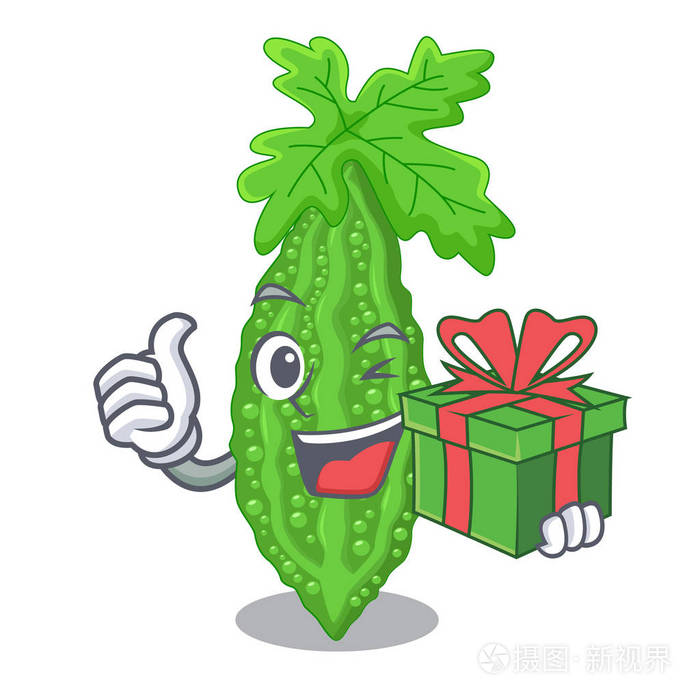 带有礼物苦瓜性状的蔬菜新鲜矢量插图