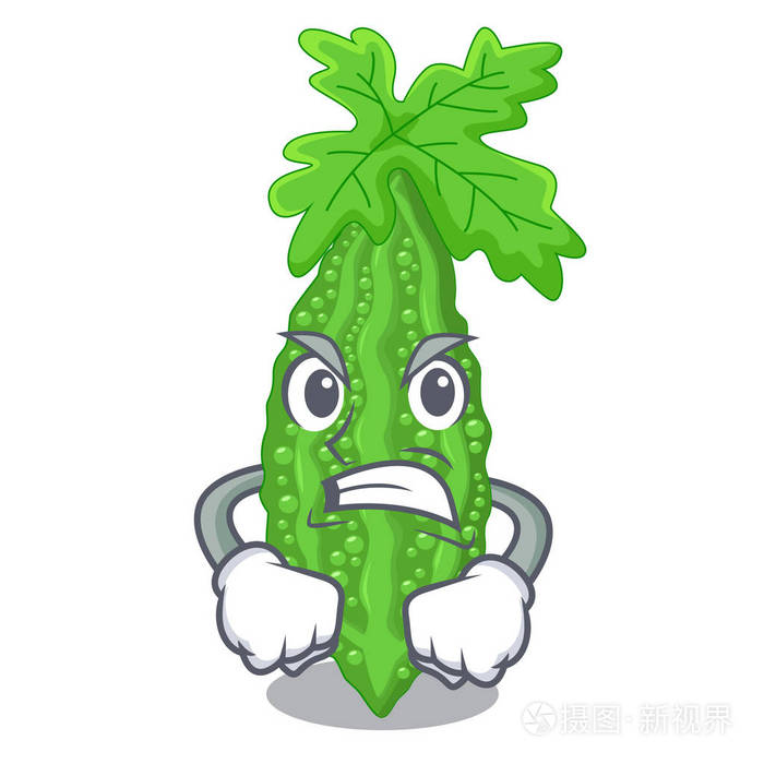 蔬菜鲜食矢量图中的气苦瓜字