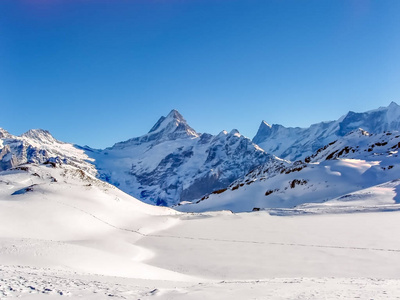 从瑞士格林德沃德第一和福霍恩之间的小路上看到的 wetterhorn 3692 米山峰