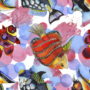 游动热带鱼鱼旗插画水彩水生水下五颜六色的热带鱼插画集.