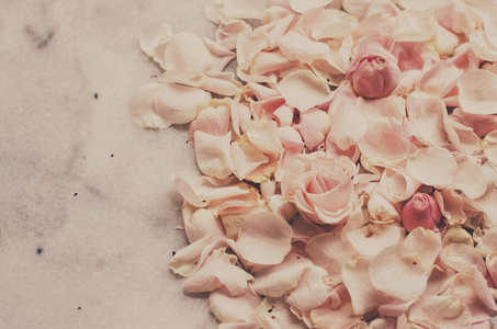 玫瑰花瓣在大理石婚礼假日和花卉花园风格的概念优雅的视觉