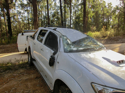 森林发生车祸, 在福雷斯特相撞后受损的汽车
