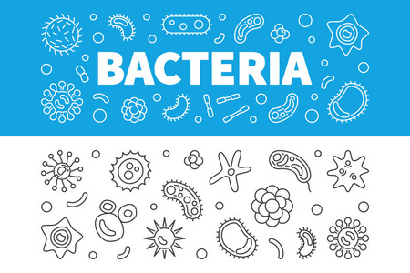 细菌水平横幅设置。向量线性例证