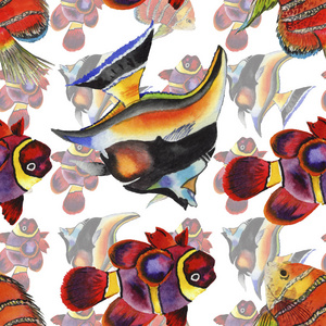水彩水生水下五颜六色的热带鱼插画集。无缝的背景模式
