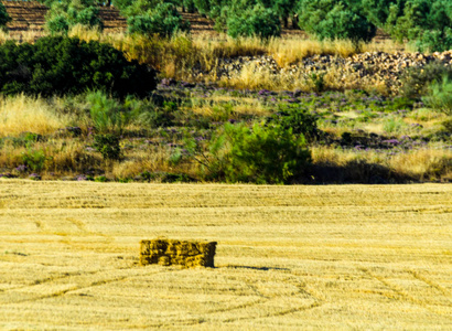 安达鲁西亚地区粗茬地的方形草捆收获时间在农业产业中的特定季节照片