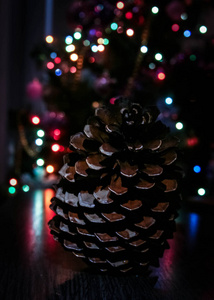 彩色背景上的圣诞树大锥