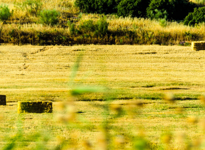 在字段中的包安达鲁西亚地区粗茬地的方形草捆收获时间在农业产业中的