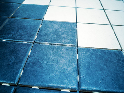 墙壁和地板深蓝色和白色瓷砖